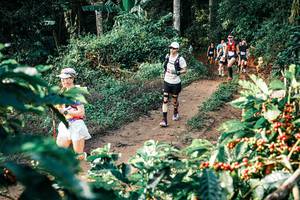 BIB: 
                            <button type="button" onclick="openModal(25838249)" class="btn btn-primary btn-sm float-right btn-popup" data-toggle="modal" data-target=".modal-high-quality">
                        <i class="fas fa-shopping-cart"></i> Add to Cart
                    </button>
                                            <button type="button" onclick="isThisMe(25838249, true)" class="btn btn-success btn-sm float-right btn-popup btn-isme hidden" data-toggle="tooltip" data-placement="bottom" title="นี่คือรูปของคุณใช่ไหม คลิกที่นี่เพื่อเอาเข้าอัลบั้ม">
                        <i class="fas fa-plus"></i> Add to album
                    </button>
                    <button type="button" onclick="isThisMe(25838249, false)" class="btn btn-warning btn-sm float-right btn-popup btn-isnotme hidden">
                        <i class="fas fa-ban"></i> Remove from album
                    </button>